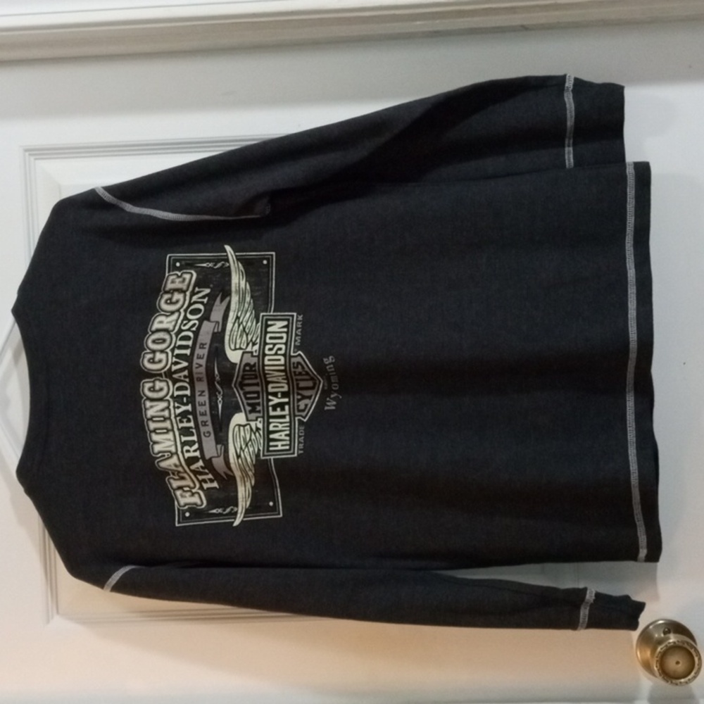 Harley-Davidson Gray Long Sleeve Eagle Tee Men’s Large - Picture 4 of 6